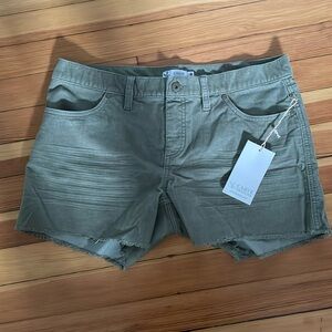 NWT Carve Designs Oahu 4” Short in Moss